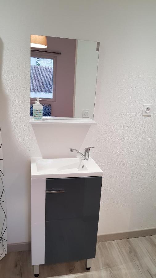 Appartement "Gabrielle" Au Calme En Hypercentre De Revel Ревель Экстерьер фото